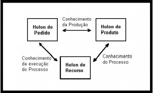 Figura 7. Estrutura da arquitetura PROSA (Wyns, 1999)