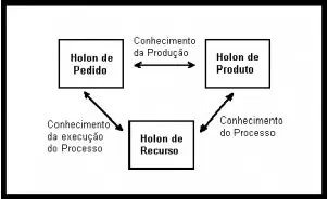 Figura 7. Estrutura da arquitetura PROSA (Wyns, 1999)