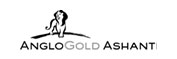anglogold-ashanti-logo.jpg