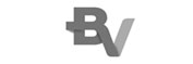 bv-financeira-logo.jpg