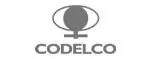 codelco-logo.jpg