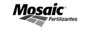 mosaic-logo.jpg