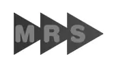 mrs-cliente-paragon.jpg