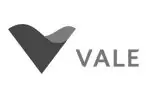 vale-cliente-paragon